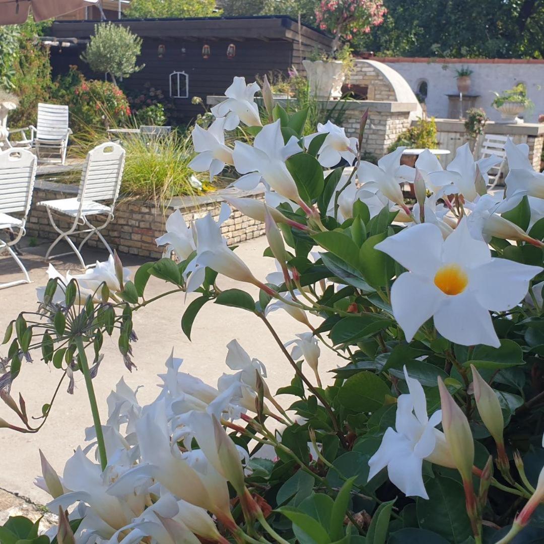 B&B Welgelegen Workum Dış mekan fotoğraf